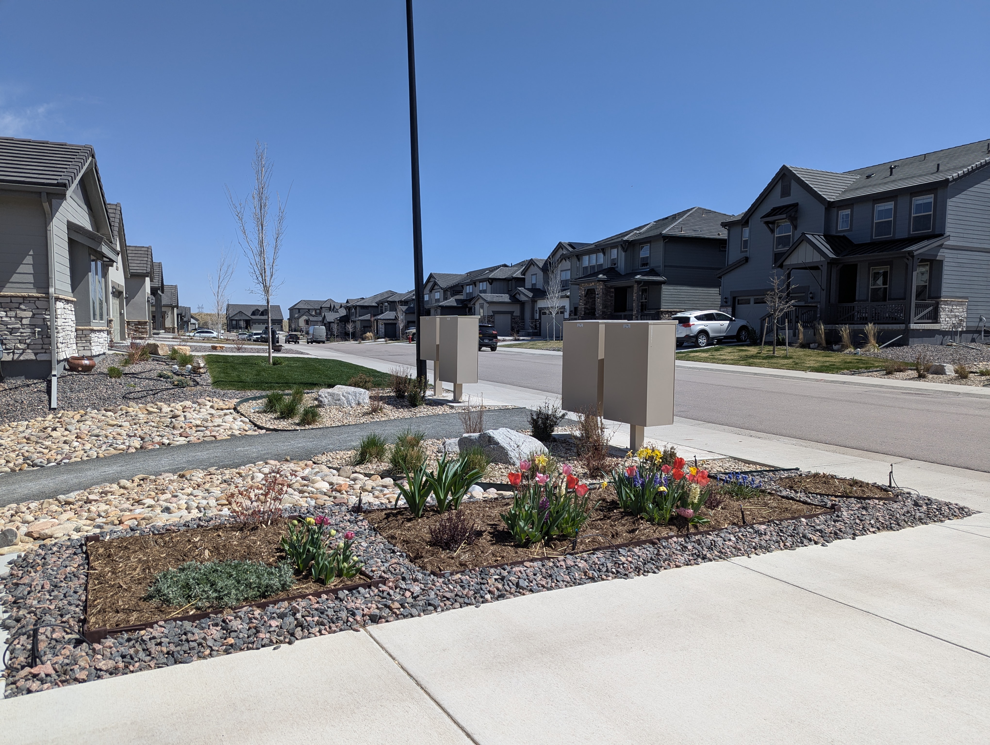 Garden, Flowers, Morrison, Colorado